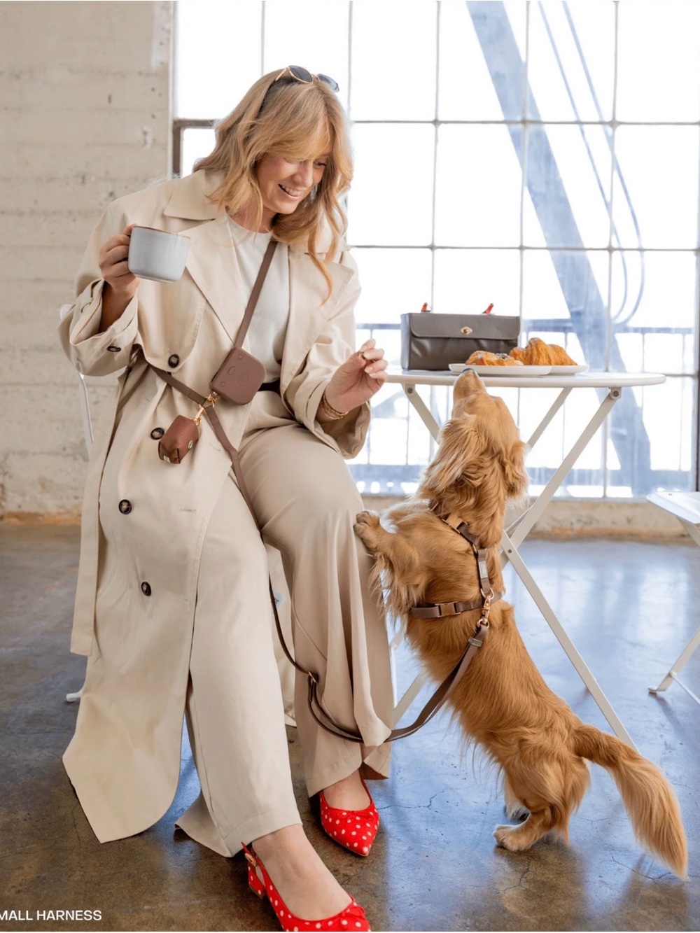 Sunny tails dog harness & hands free leash set espresso brown (XS HARNESS) NWT